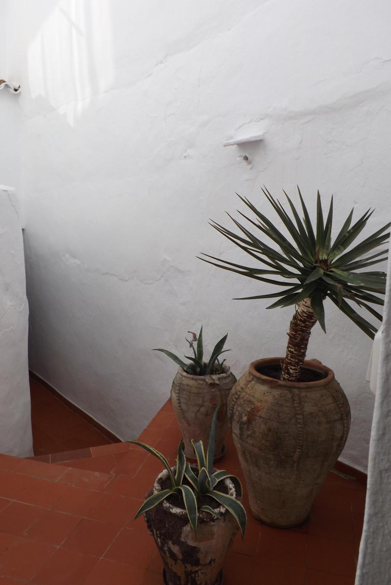 Casa Elvira Villa Cómpeta Exteriör bild